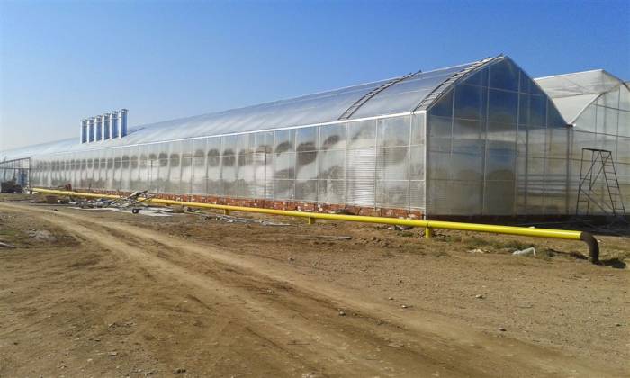 Производство и установка теплиц, фотография 6
