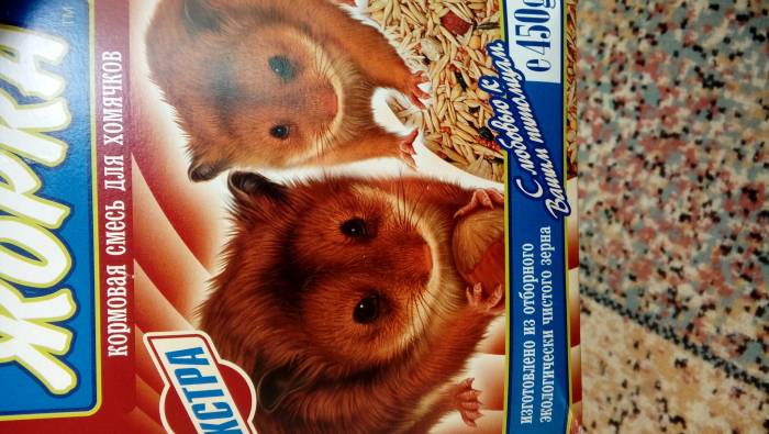 Черепаха с декаритвным хомяком, фотография 2