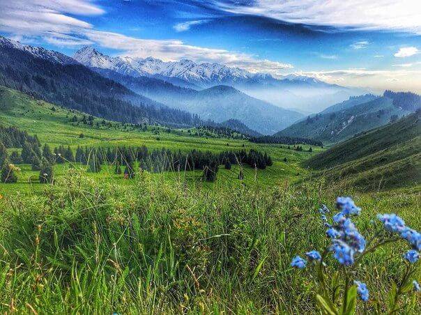 Продам кирпичный Дом общей площадью 77 кв.м, фотография 1