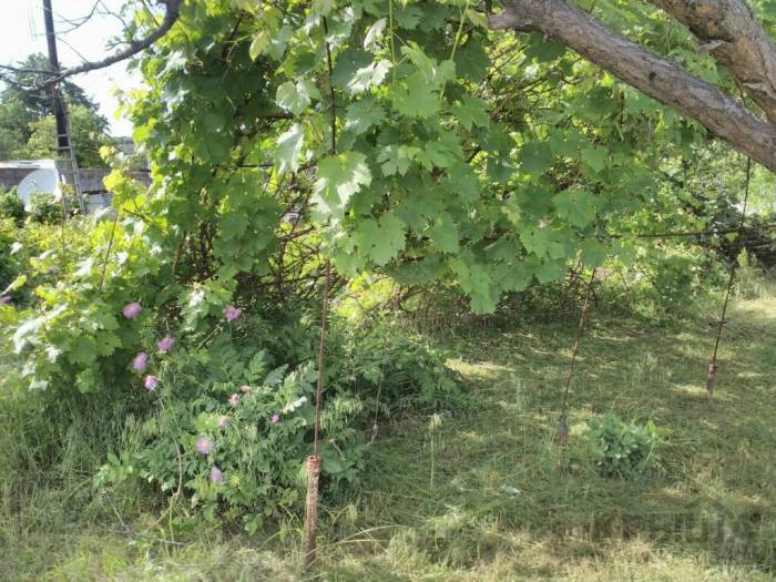 Продам дачу, фотография 3