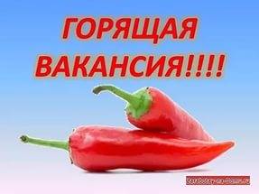 Менеджер-Администратор, фотография 1