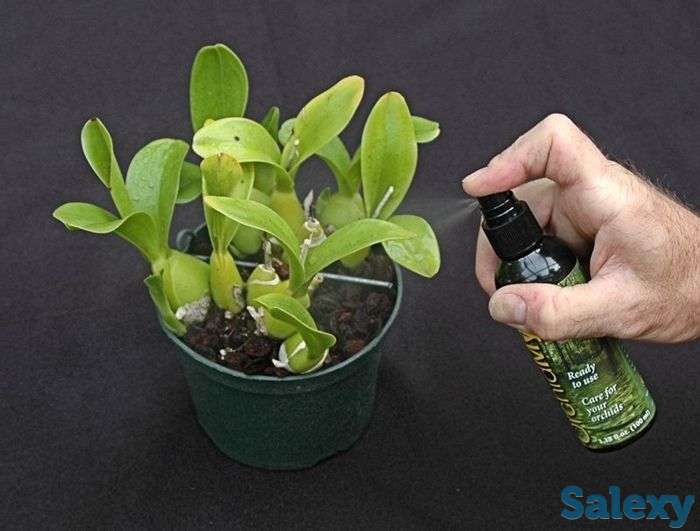 Клонекс Мист (CLONEX  MIST), фотография 3