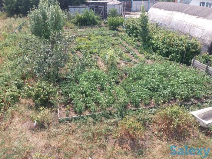 смотри сюда, Новый Караган, фотография 8