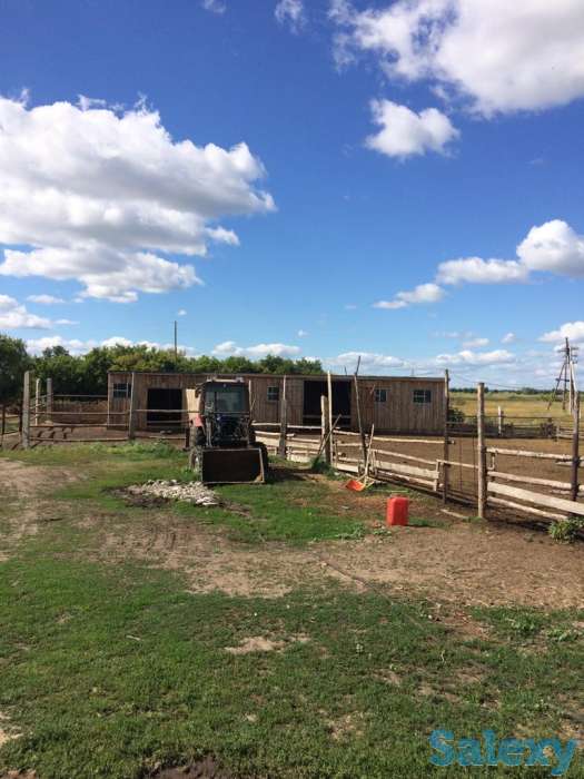 Продаётся животноводческая ферма, фотография 5