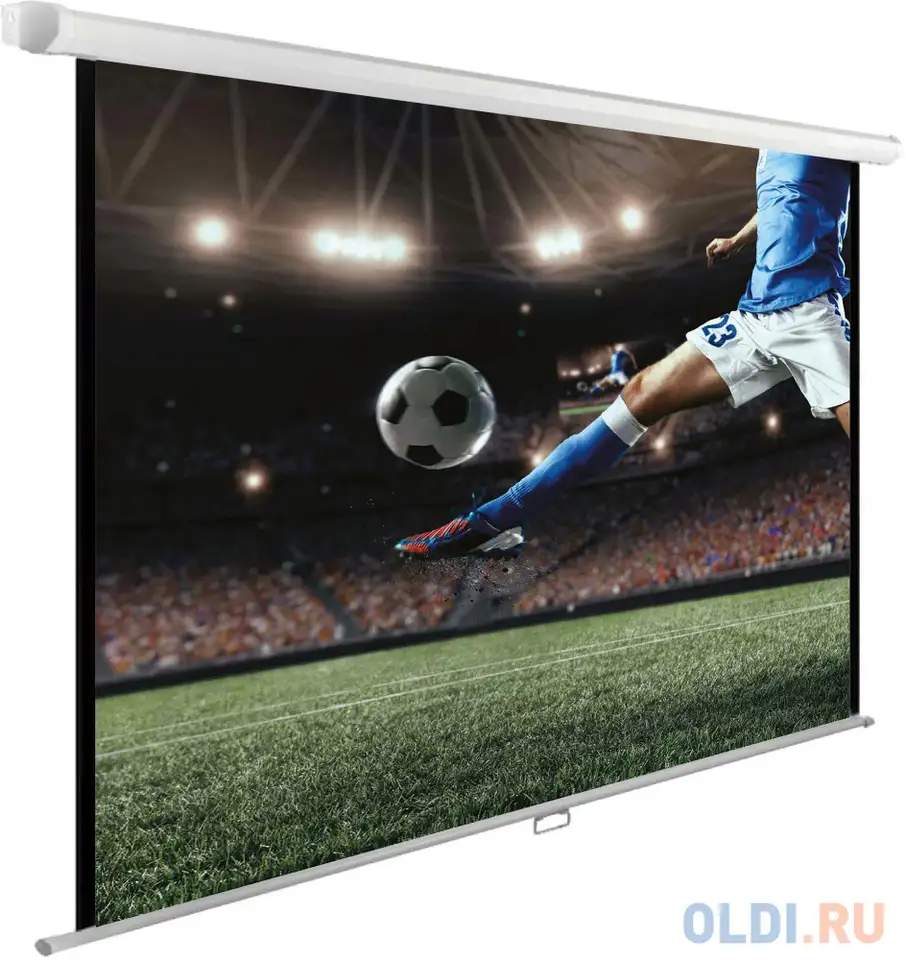 Экран hiper 183x244см cinema swl 4x3-120 4:3 настенно-потолочный рулонный, фотография 1