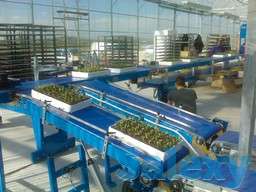 Транспортер для лотков (кассет) NTI, NTA, NTV URBINATI, фотография 3