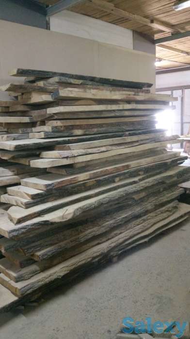 Продается дуб!, фотография 2