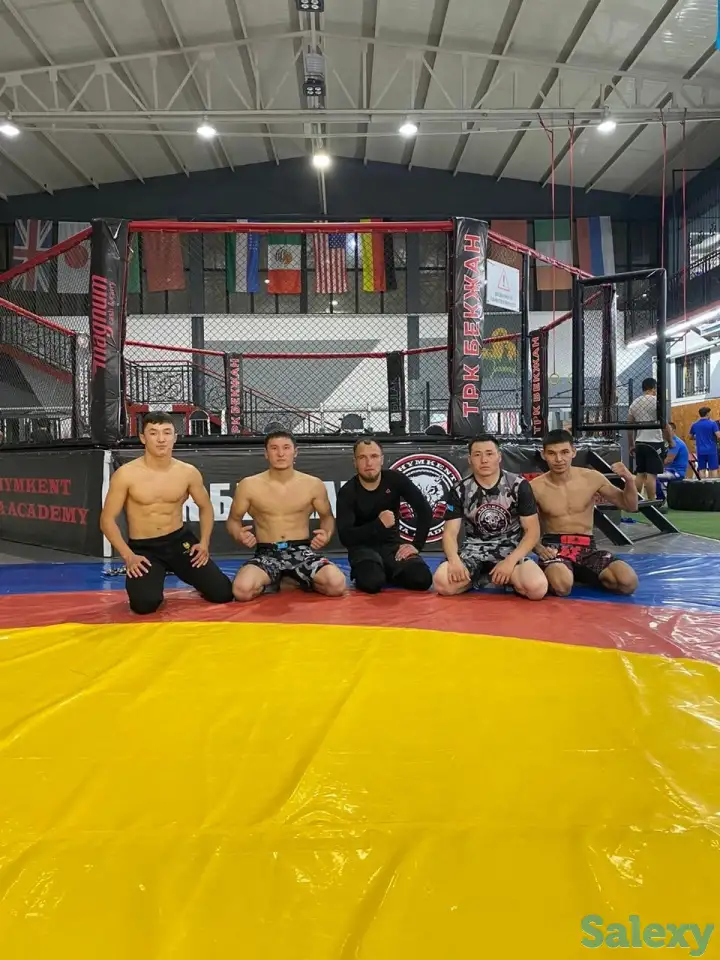 Тренер мма бокс, фотография 2