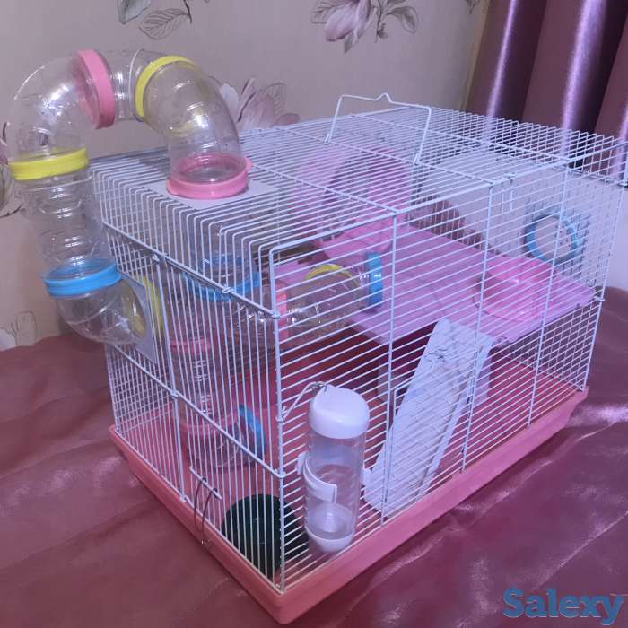 Продам клетка для хомяков 2 -этажный +подарок, фотография 2