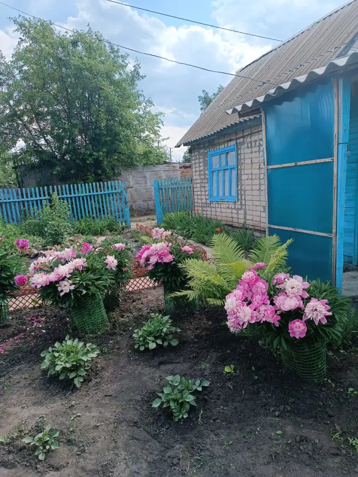 Продам дачу остановка поворотная, фотография 2