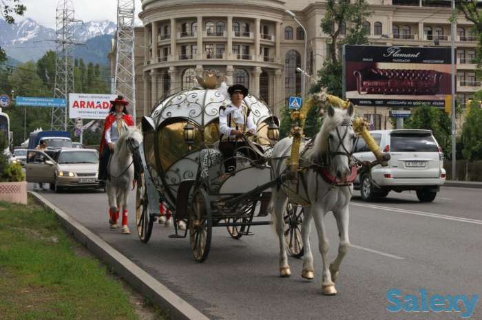 карета для принцессы, фотография 2