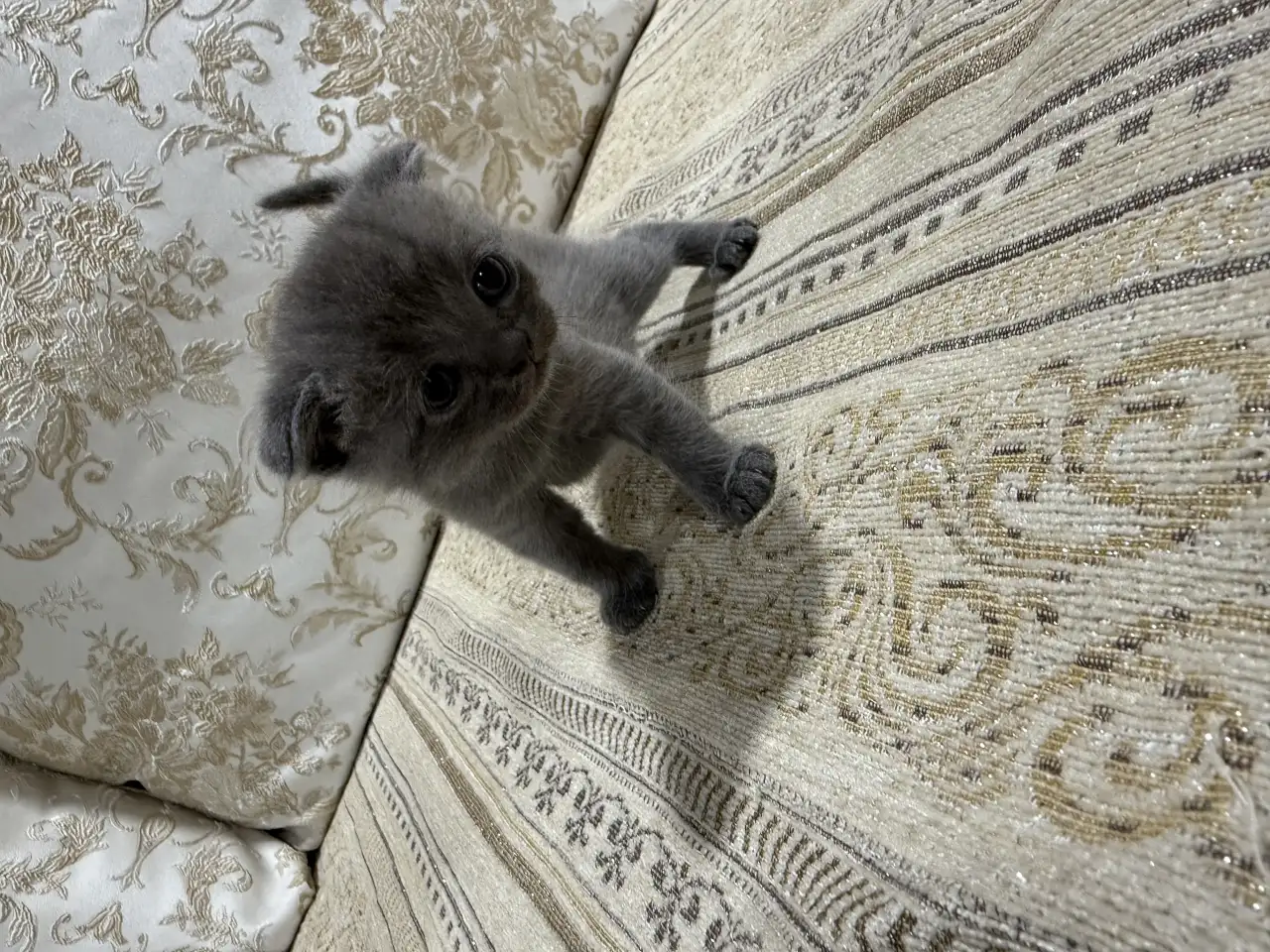 pavlenko100495icloud.com, фотография 1