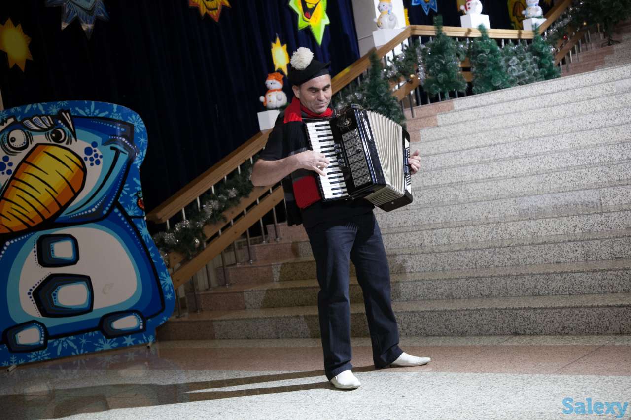 Аккордеонист/Баянист/Музыкант/Ведущий/Артисты/Цыгане, фотография 16