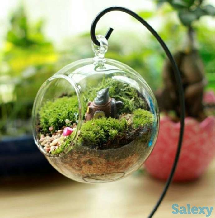 Прозрачный Стеклянный Шар Ваза., фотография 3