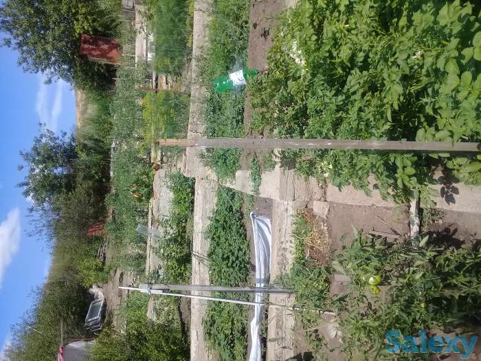 Продам дачу, Меновное, фотография 6