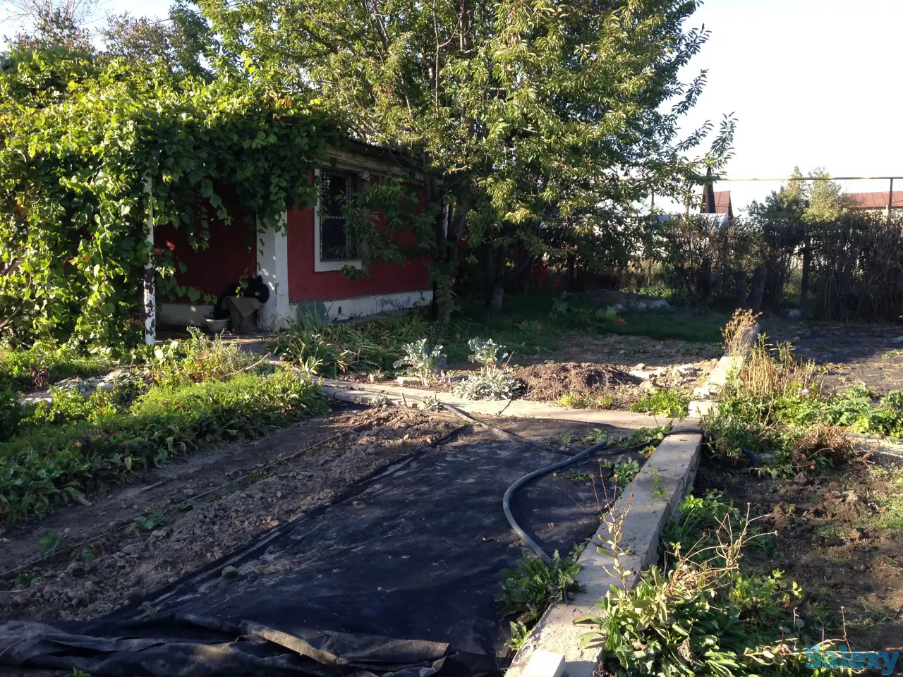 Продам дачу на Первомайских прудах (Ардагер-Ветеран), фотография 7