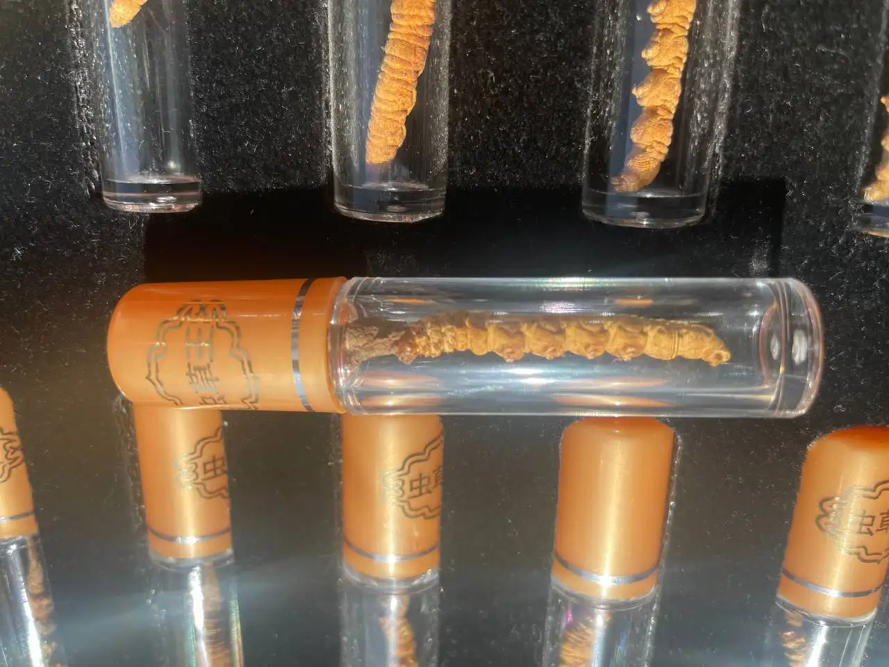 Кордицепс Синенсис 10гр, фотография 4