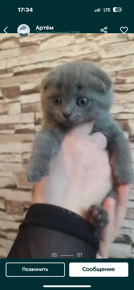 pavlenko100495icloud.com, фотография 4