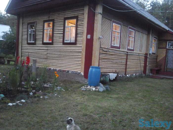 зимний дом в красивейшем месте новгородской области, фотография 11