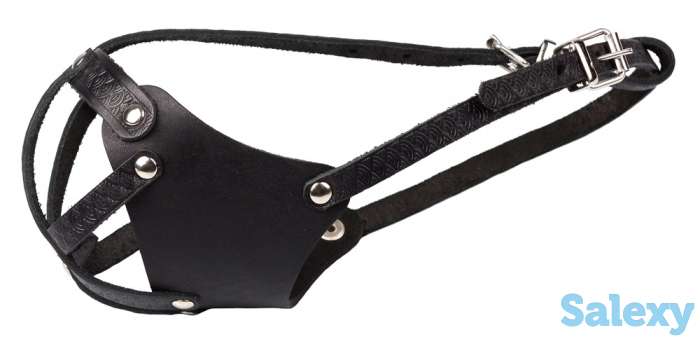 Зоотовары, фотография 6