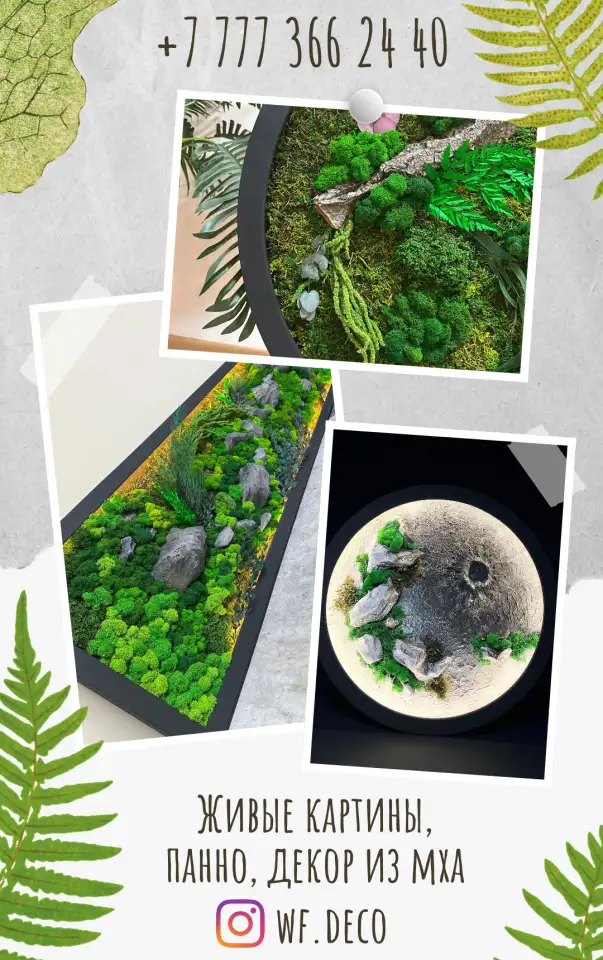 Живые картины, панно, декор из мха в Алматы., фотография 1