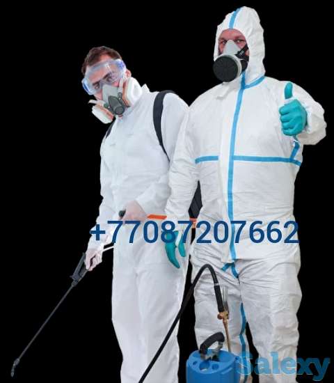 Дезинфекционная служба, фотография 1