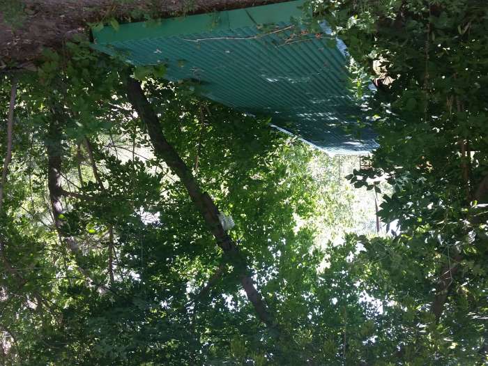 Срочно продам участок с домом на берегу р. Каргала, фотография 3