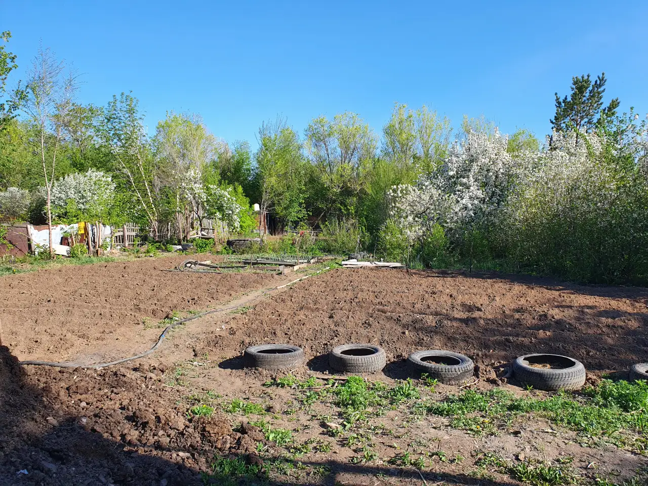 Сдам в аренду садовый участок в черте города, садовое общество 