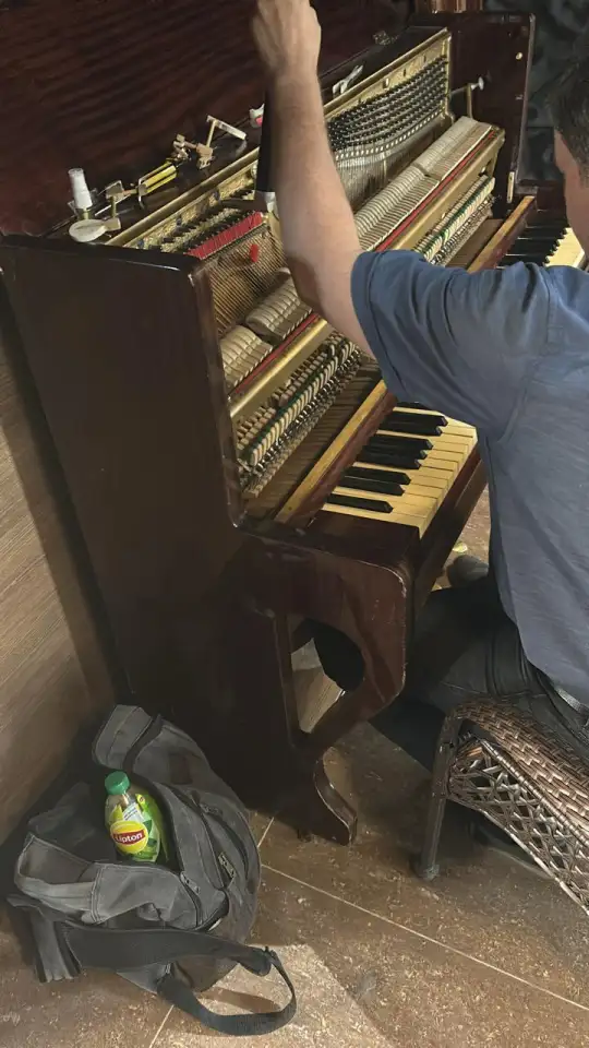 Точная настройка  и ремонт пианино,фортепиано,рояля, фотография 1