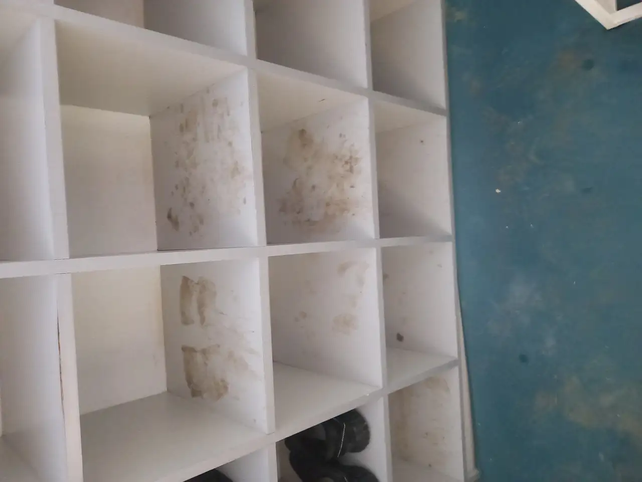 Уборка квартир, домов, подьездов, фотография 3