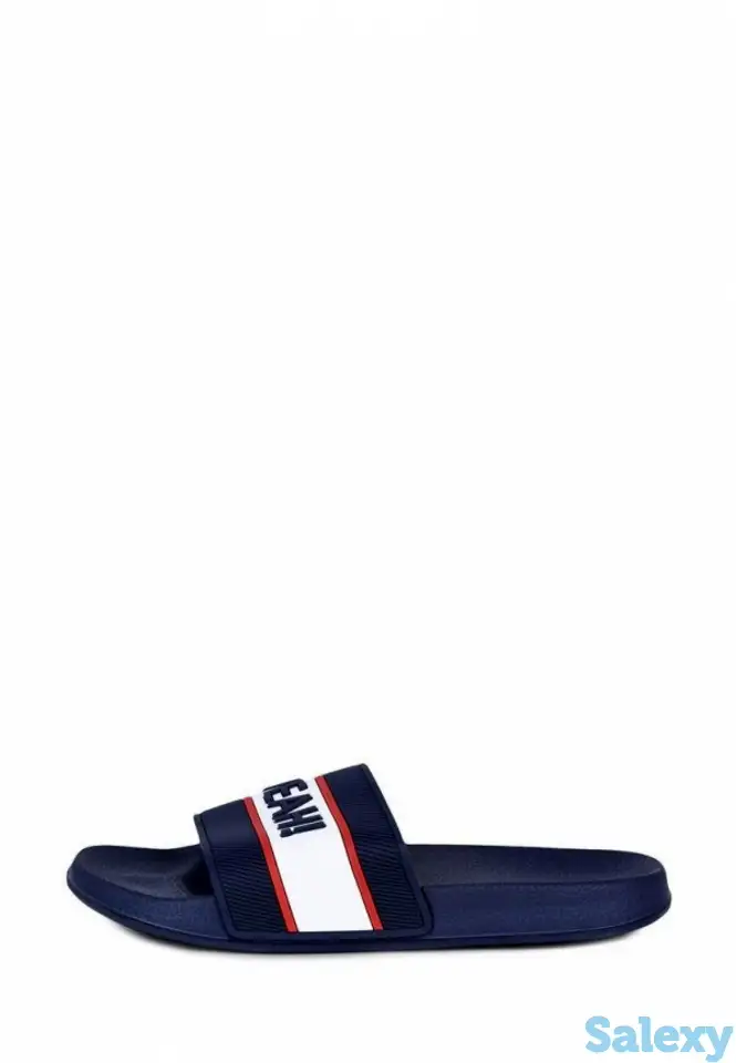 Сланцы t.taccardi, фотография 1