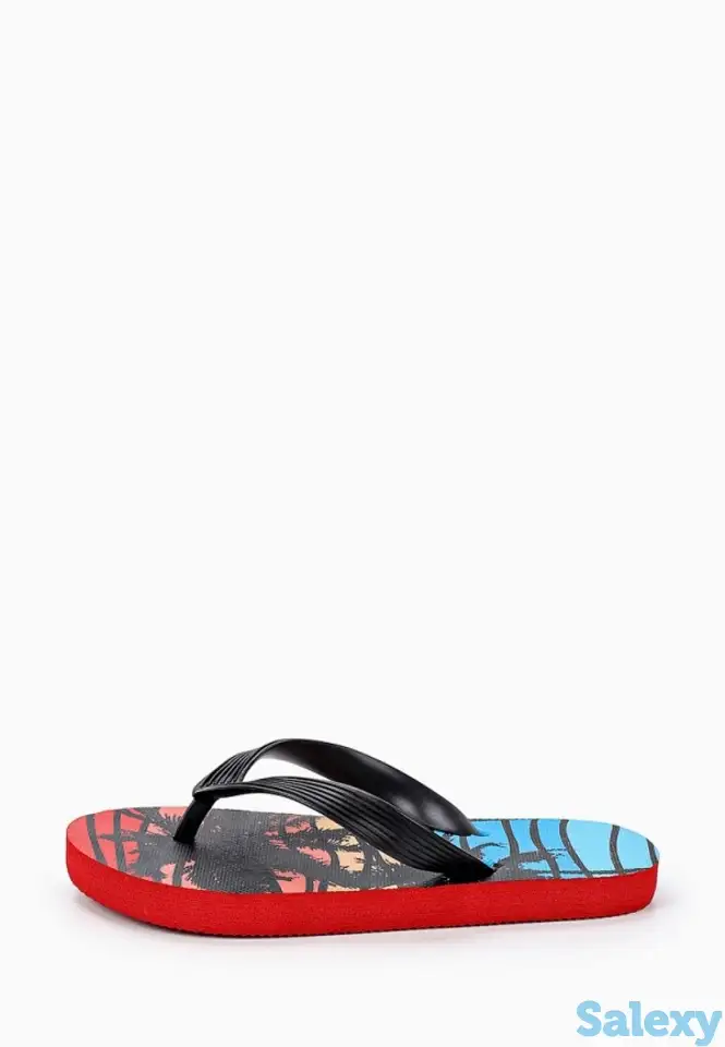 Сланцы t.taccardi, фотография 2