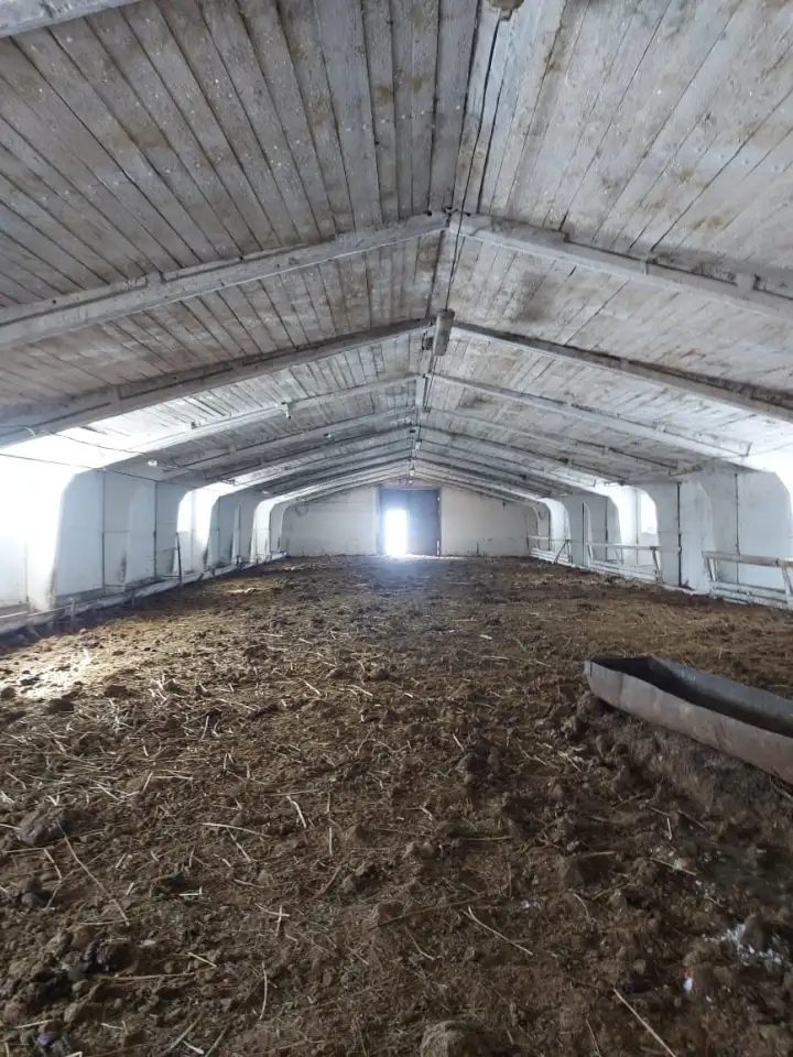 Сельское хозяйство на 3600 гектар земли в Павлодарской Области, фотография 3