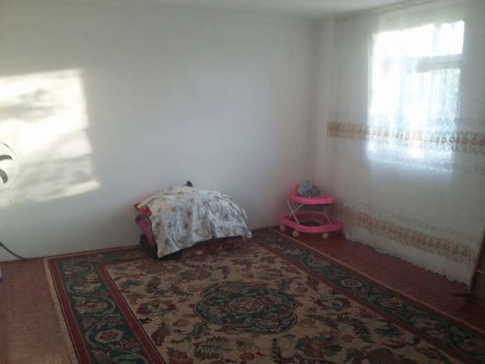 Геолг , фотография 1