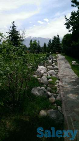 Ландшафтный дизайн, фотография 6