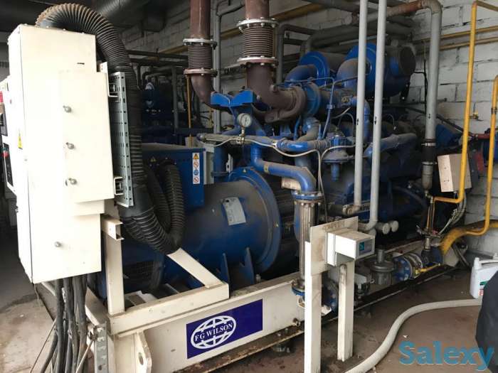 Газопоршневые электростанции FG Wilson PG750B, фотография 1