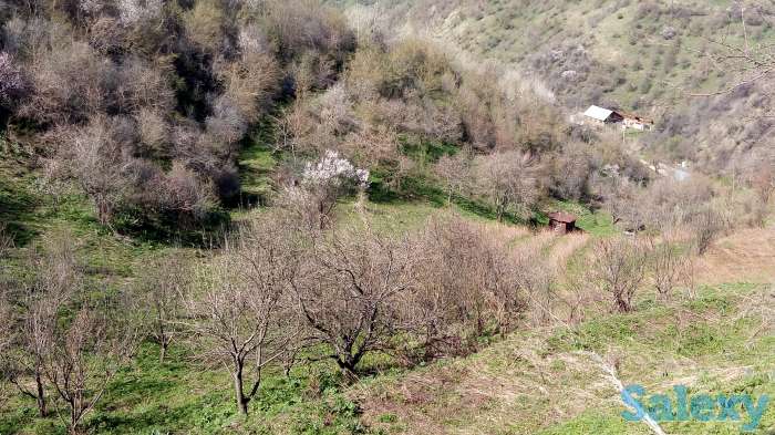 Продажа, Мкр Сулусай, фотография 5