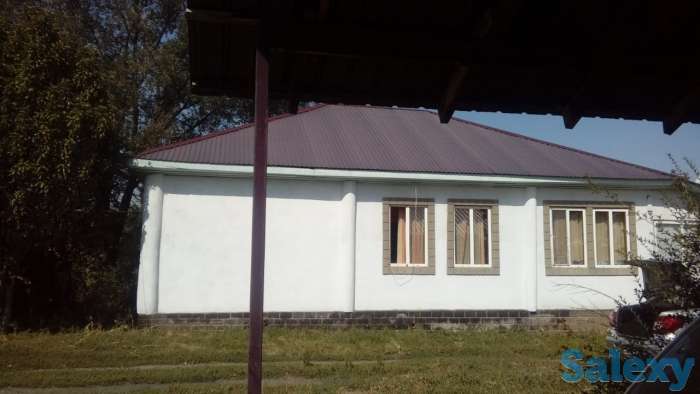 Ерлан, фотография 1