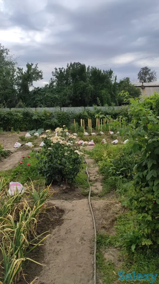 Дача 15 соток, Алматинская область, Талгарский район, с.о. Кендалинский, с. Кендала, с/т Медик-, фотография 11