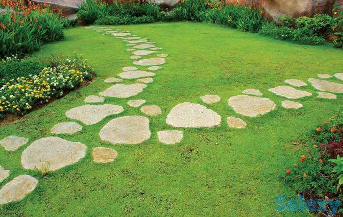 Озеленение, фотография 4