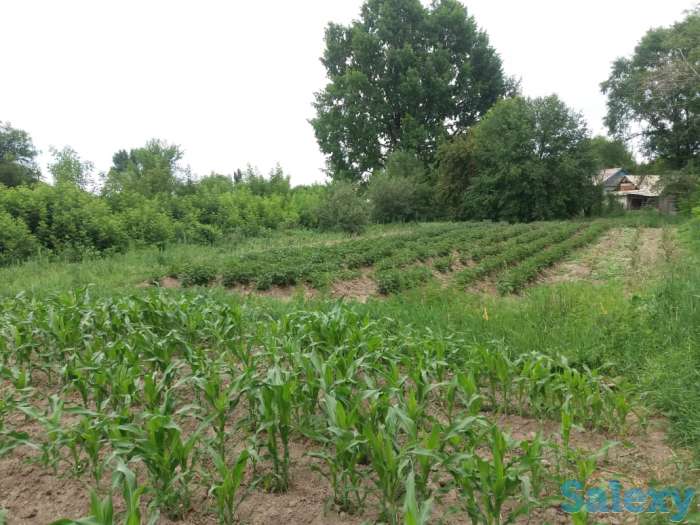 Продам дом срочно за выгодную цену!!!, Село Бактыбай Жамбыл 1, фотография 9