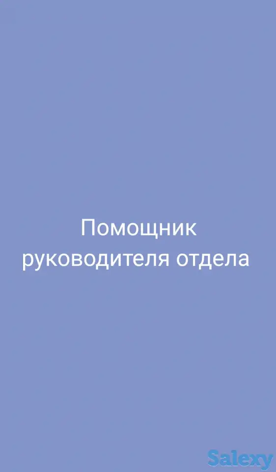 помощник руководитель отдела, фотография 1