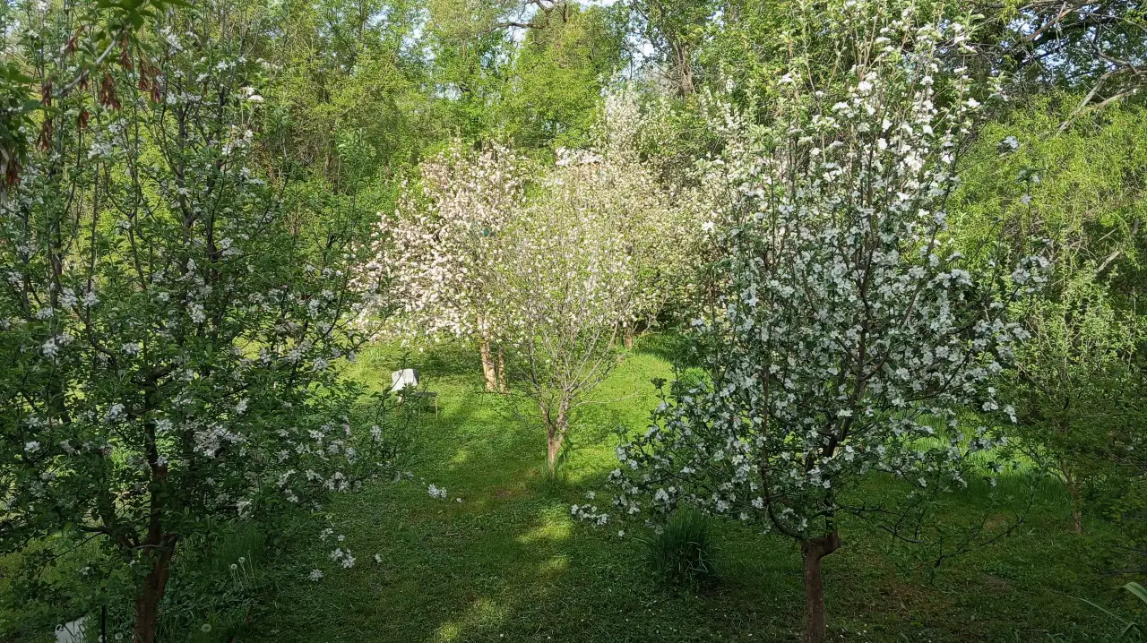 Продажа дачи, фотография 5