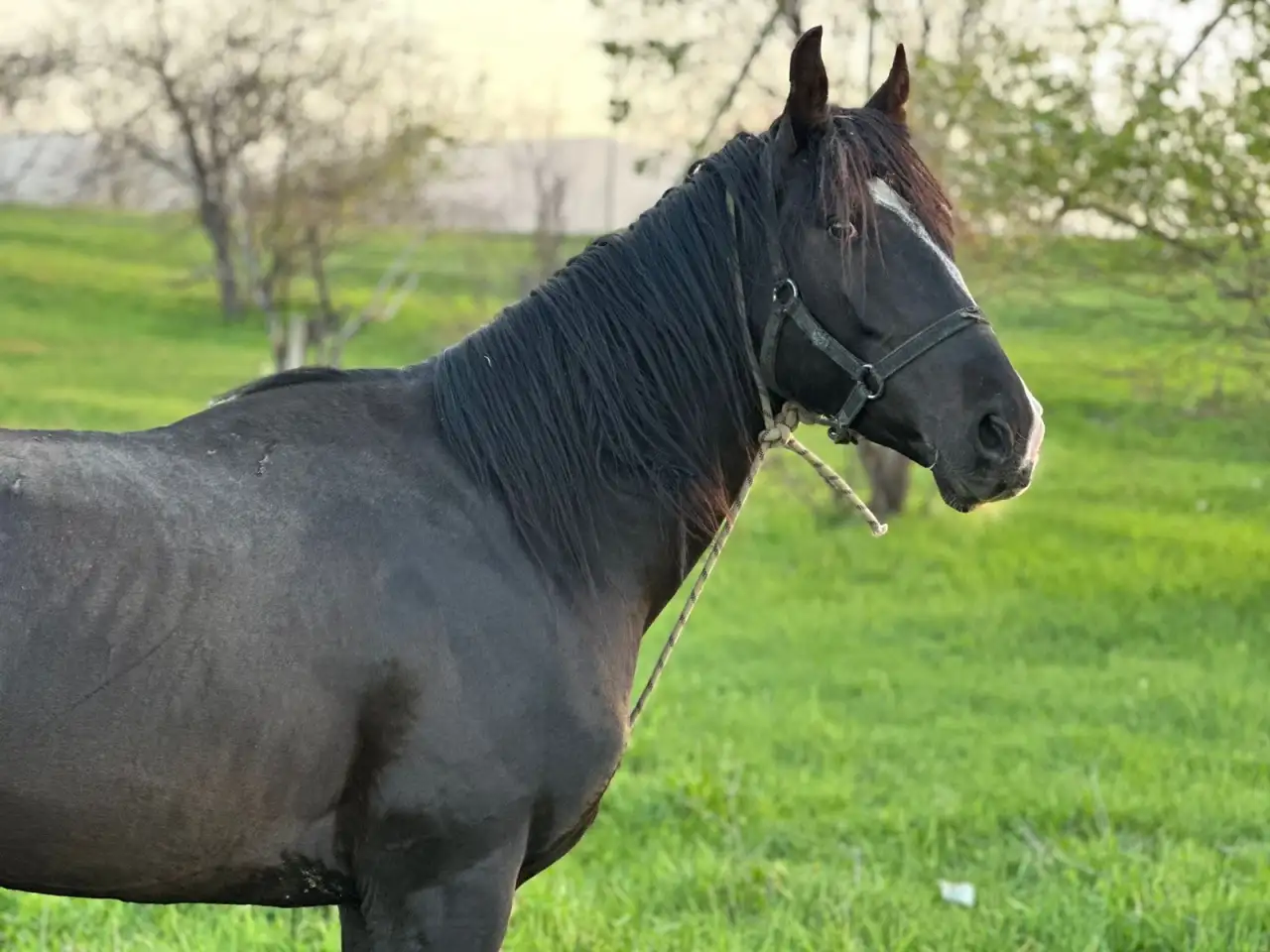 Срочно продам, фотография 1