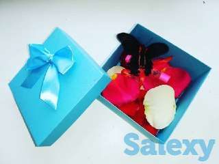 Живые бабочки, фотография 1