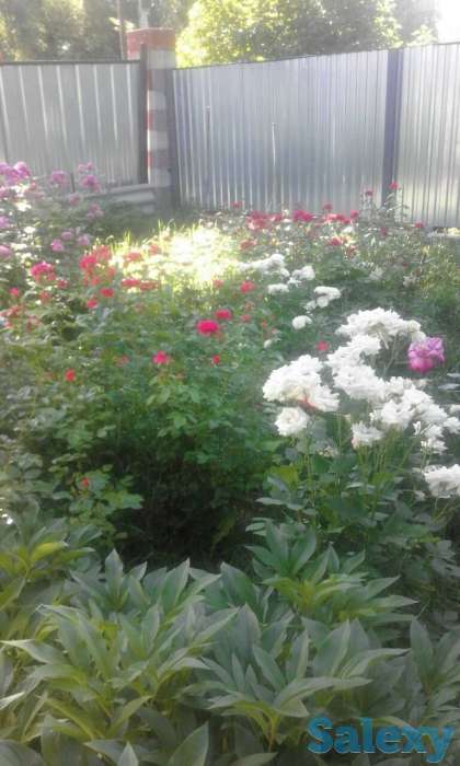 дом, село Балтабай, улица Школьная 24, фотография 5