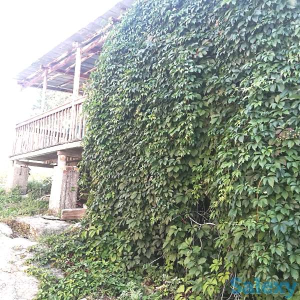 Срочно продам домик с участком в базе отдыха Икар, фотография 3