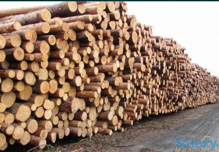 Пиломатериалы, фотография 7