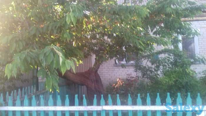 Россия, фотография 1