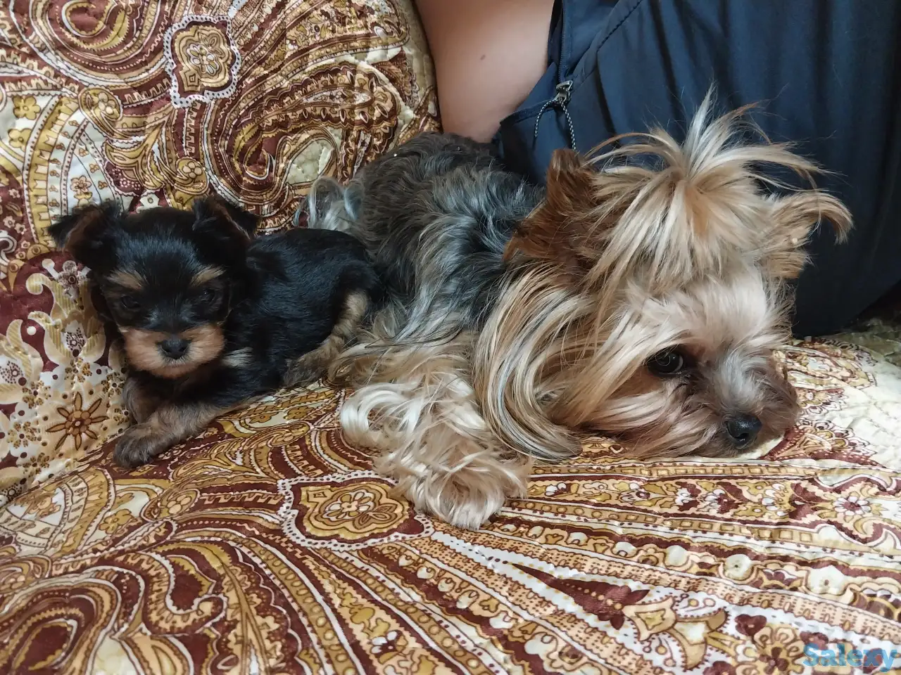 Продам, фотография 1